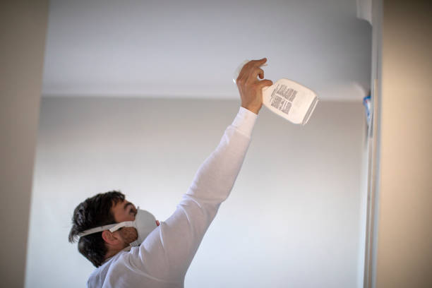 Best Best Mold Removal Companies  in Glen Rock, PA